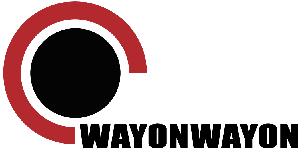Logo WAYONWAYON
